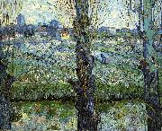 Vincent Van Gogh Orchard in Bloom with Poplars oil on canvas